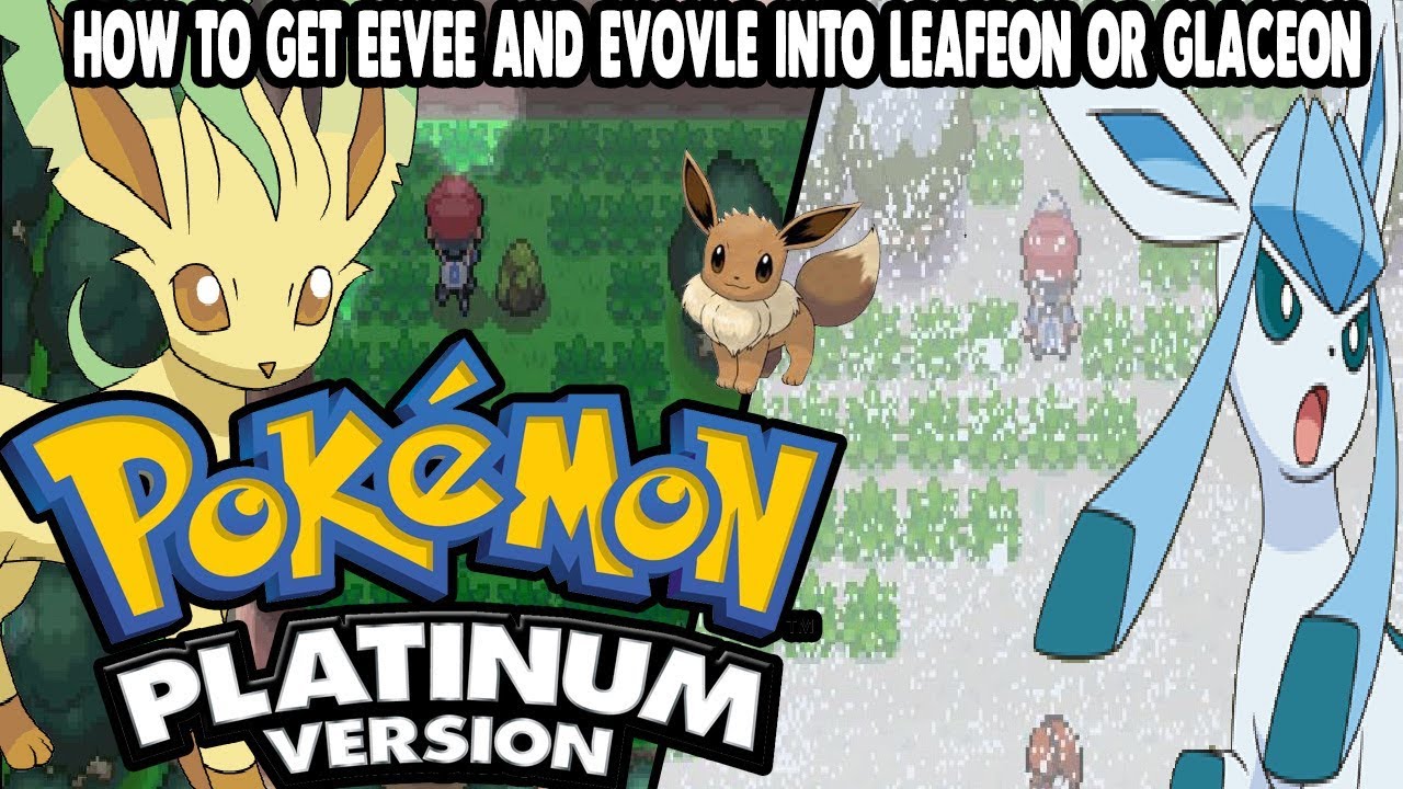 How to get a girl Eevee in Pokemon Platinum - Quora