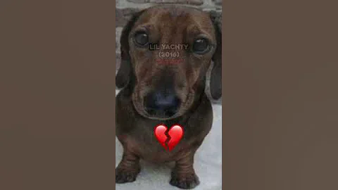 Rap Lyrics That Make Absolutely No Sense