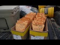 Colby AgTech Segment Part 2 30" vs 15" corn field trials at Wade Farms in Central IL