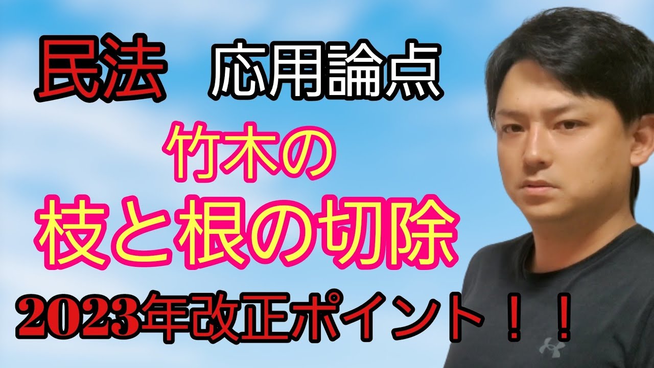 【民法応用】竹木の枝と根の切除　　　　#行政書士試験 　#宅建試験 　#公務員試験 　#司法試験予備試験 　#司法書士試験