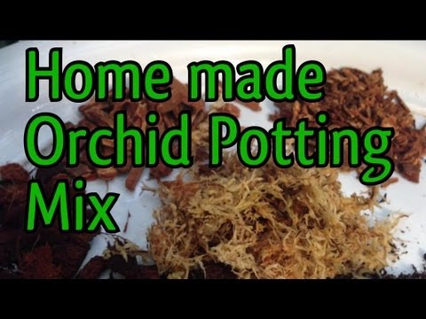 Video: How To Prepare Your Own Orchid Soil