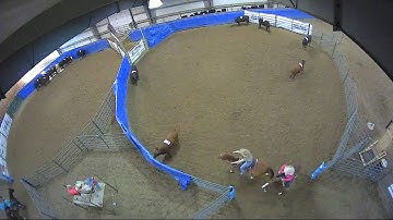 Big Sky Ranch Sorting Saddle Series #4 - #7 SORT - Round #1 - Ride #44