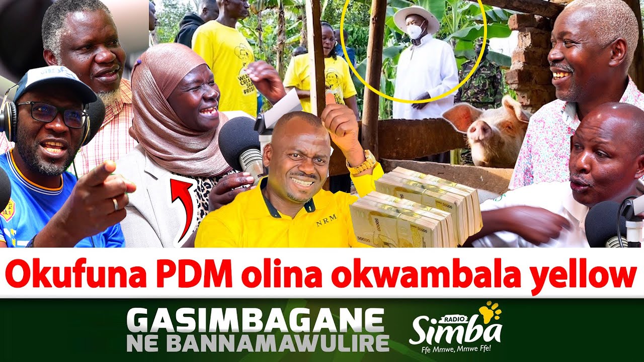 Gasimbagane-Kabanda-Okufuna eza PDM olina okwambala yellow. Obulimba obuli awo 1M ekyuusaaki mazima!