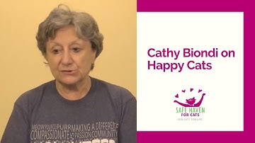SAFE Haven for Cats - Cathy Biondi on the Happy Cats Program