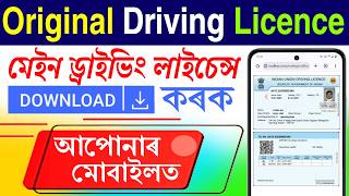 Driving Licence Download Online 2026 | DL PDF Download By DL Number - DL Download Without OTP