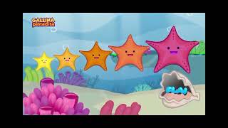 Galiina Pintadita 4 Completo Rápido 5X