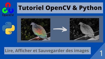 Tutoriel Fr OpenCV Python #1 Lire, visualiser et sauvegarder des images