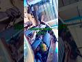 #Mehek car Fashion and ac ka Caling koel change hua hai #shots #video #youtubeshots #youtubfeed