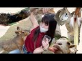 日本一危険！？な動物園に行ったら友達いっぱい出来た！