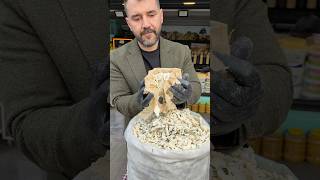 Herkesin Sıra Beklediği Peynir