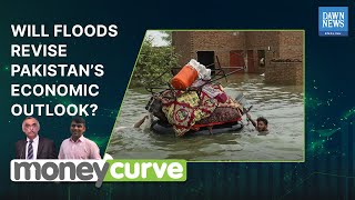 For how long will IMF provide ‘technical assistance’ to Pakistan? | MoneyCurve | Dawn News English
