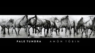 Amon Tobin Pale Tundra