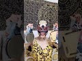 日本人!?メキシカン!?未知なる強豪が新ブランドに襲来!!#ppptokyo #女子プロレス