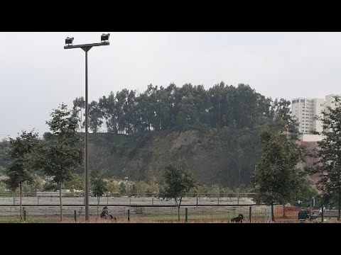 cdmx weather august Payasos En Lomas de Santa FeContadero01219ÁlvaroObregónCDMX