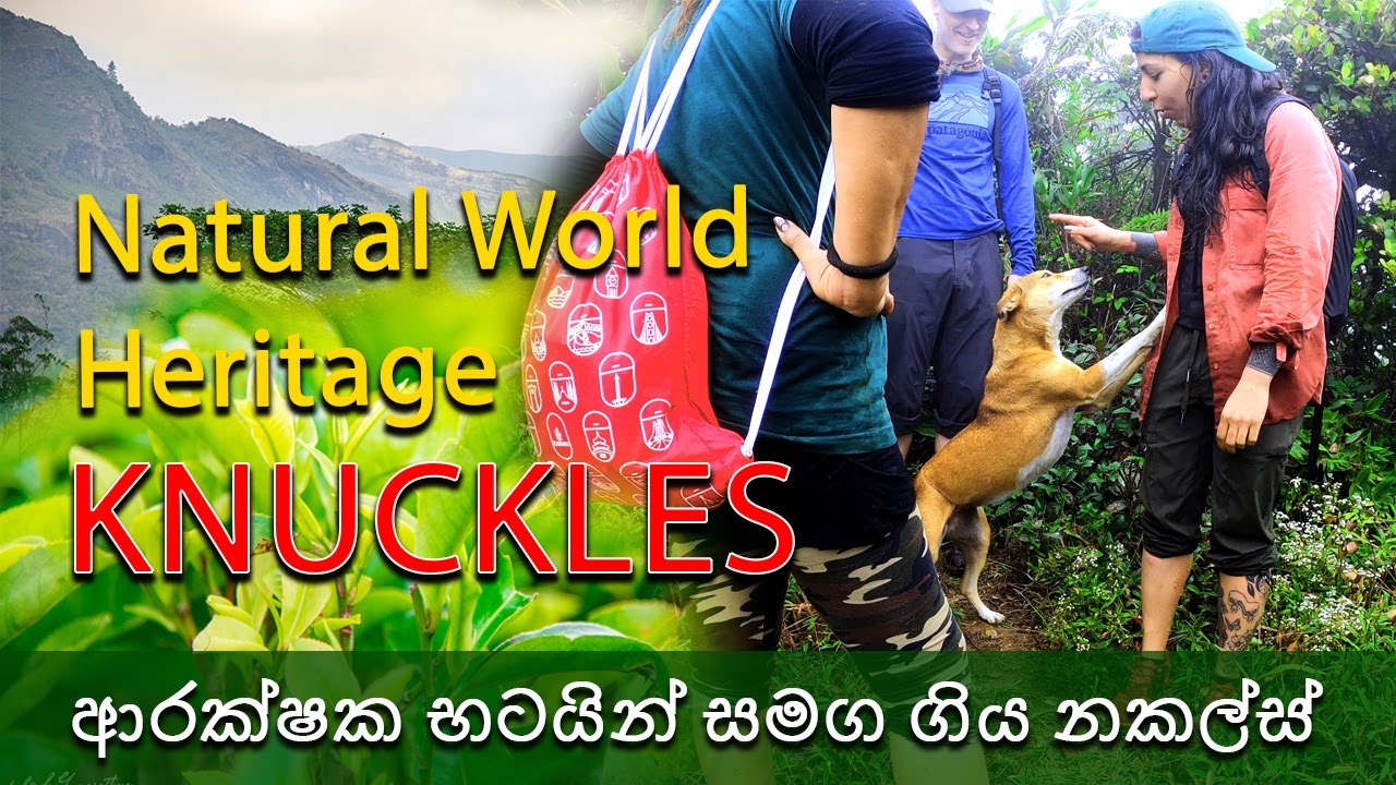 Knuckles Mountain Range /Natural World Heritage /traveling around Sri Lanka/Dee Walkers