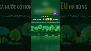 Hiện Trạng Rừng Trên Cả Nước Một Số Khu Vực Có Tỷ Lệ Che Phủ Rừng Trên 54%