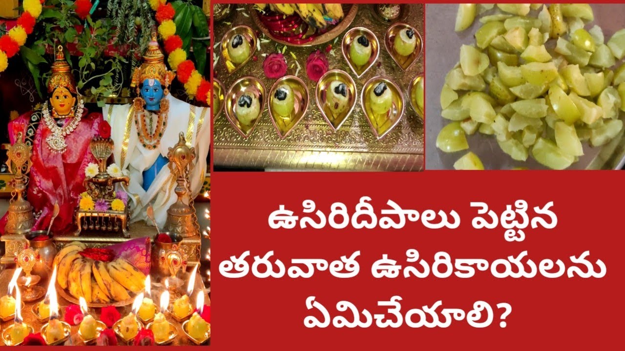 మావారికి హెల్త్ చెకప్|ఉసిరిదీపాలు తరువాత ఉసిరికాయలను ఏమిచేయాలి?మాఊరి పేరు అదే|దేవాలయంలో వనభోజనం|
