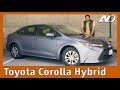 Toyota Corolla Híbrido ⭐️ - Sorprendente evolución y el mejor híbrido por el precio