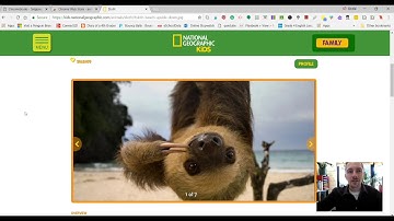 Tech Tip 4- The Snipping Tool On Chromebooks