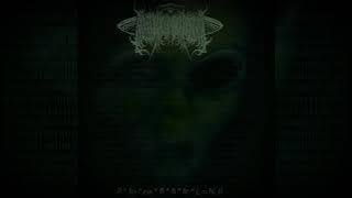 01101111011101100110111001101001 - R ٭ Fp . Ne . Fl . Fi . Fc . L = N (2017) [Single]