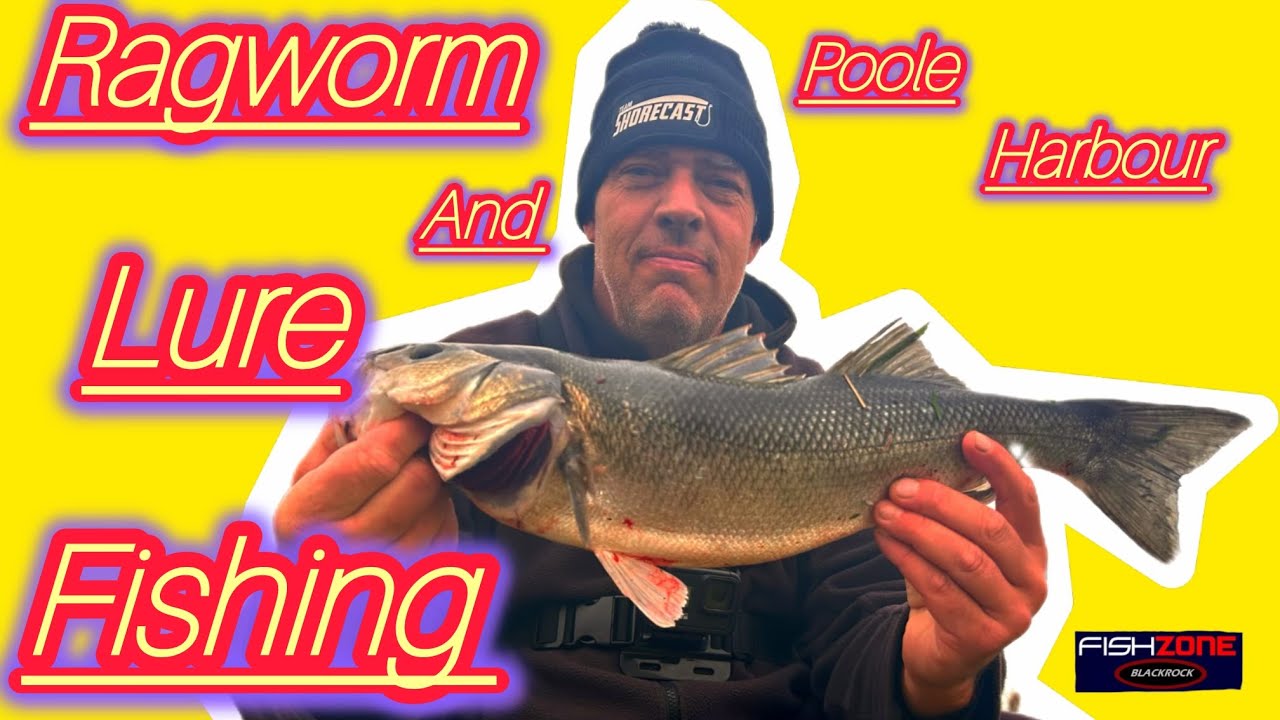 SUNDAY MORNING BASS AND FLOUNDER SEA FISHING