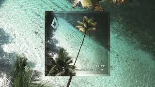 Saive - There Will Be Hope (Nora En Pure l Purified Records)
