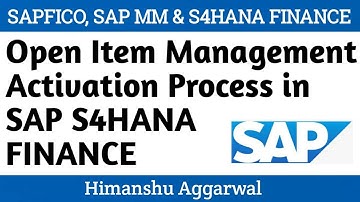 Open Item Management Activation Process in SAP S4HANA FICO