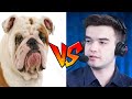 Bulldog VS SyndereN:Crumbling Island Arena