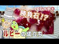 GSTV宝石大学 #6「ルビーの歴史」