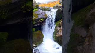 Beautiful Waterfall in Nature | Relaxing Scenic View|#shorts #water