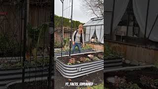 He tried the ongoing viral trend 📈 #InterestingFacts#ViralShorts#Shorts#FactVideo