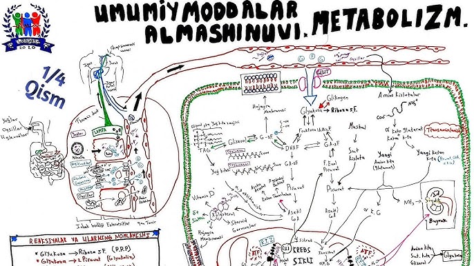 Uxlayotgan onaning sikilishi haqidagi porno videoni tomosha qiling