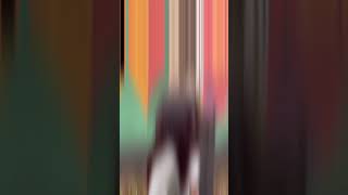 Hot Reels Videonavel Videohot Navel Videohot Y Saree Videosaree Video