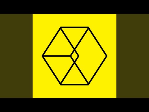 유성우 流星雨 Lady Luck