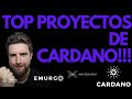 TOP PROYECTOS DE CARDANO!!! SE VIENE UN NUEVO ECOSISTEMA!!!