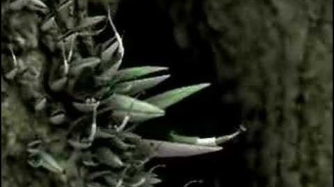 Alias - "Sixes Last"