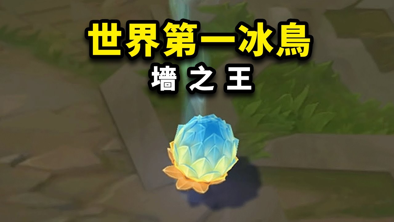 世界第一冰鳥的奧義：W墻的花式用法！