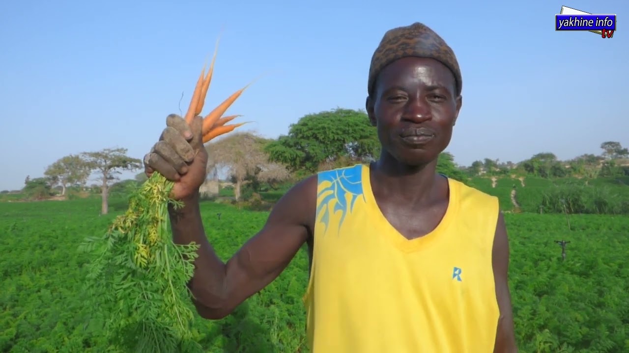 Baykate yi rewmi sonnanou ndakh importations Bitëm rew (2 partie)