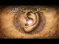 هل تعلم أن خلف الأ ذ ن يوجد ز ر س ر ي يمكنه إيقاظ ق و ة الش ف اء الذ ات ي لديك