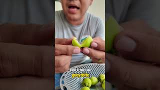 Probando Pomarrosa tabasqueña