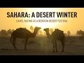 Sahara: A Desert Winter. Camel racing at a Bedouin desert festival