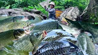 Traditional Fishing Skills-Lucky Girl Catches A Huge School Of Fish In The Headwaters Of The Stream