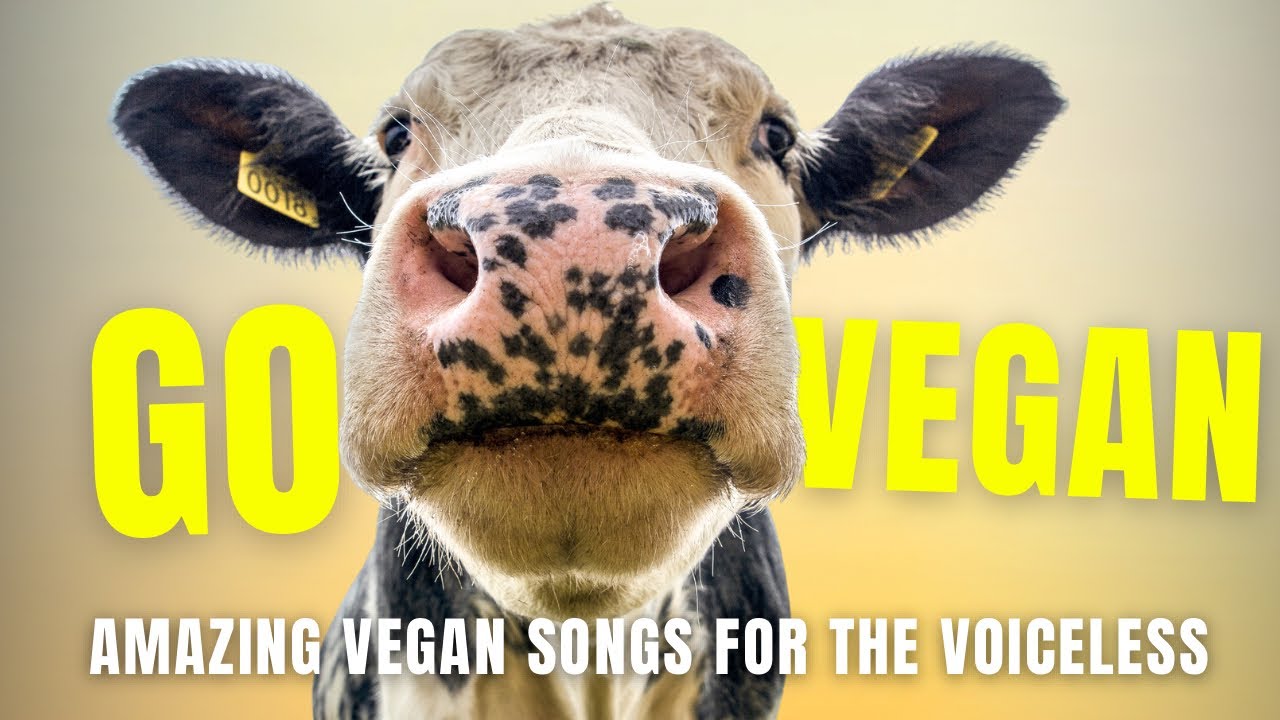 Vegan Music Playlist ❥ WHY GO VEGAN? Heartwarming Songs For The Voiceless 𓆩♡𓆪 Animal Rights