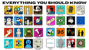 Everything in Life You SHOULD Know, Explained