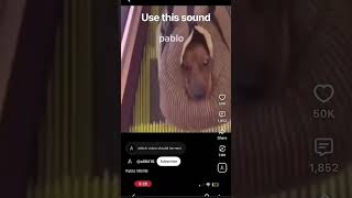 pablo