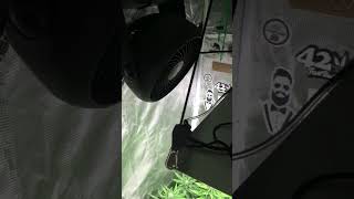 Bloom Plus BP3000 3x3 Tent Update