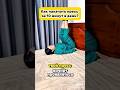 Как накачать пресс за 10 минут в день? #здоровье #спорт #здоровыйдух #зож #похудение