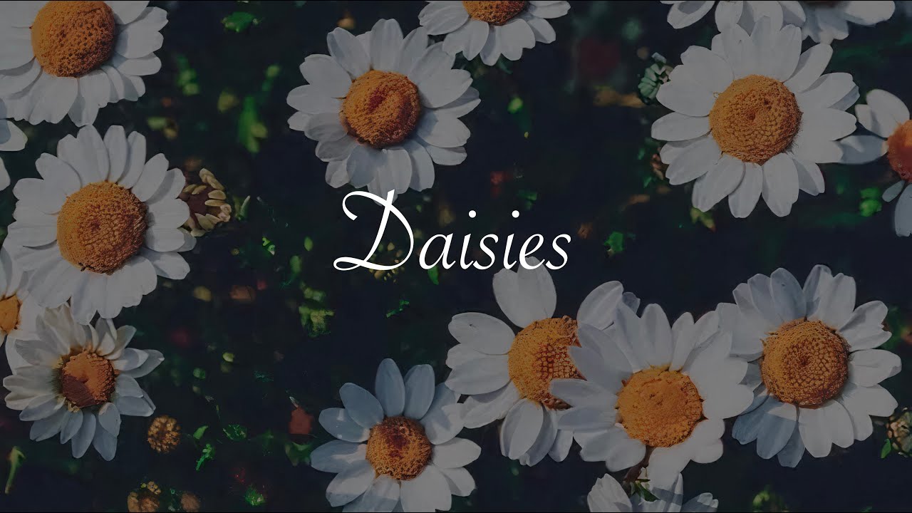 Daisies Katy Perry Lyrics Video YouTube