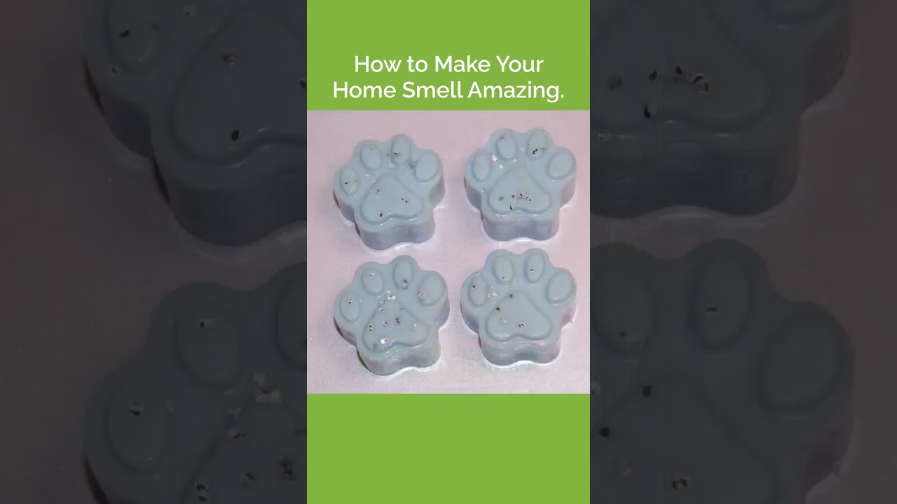 How to Make Your House Smell Amazing with Wax Melts | 