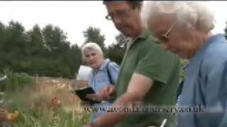 Avondale Nursery: Local Internet TV Advert